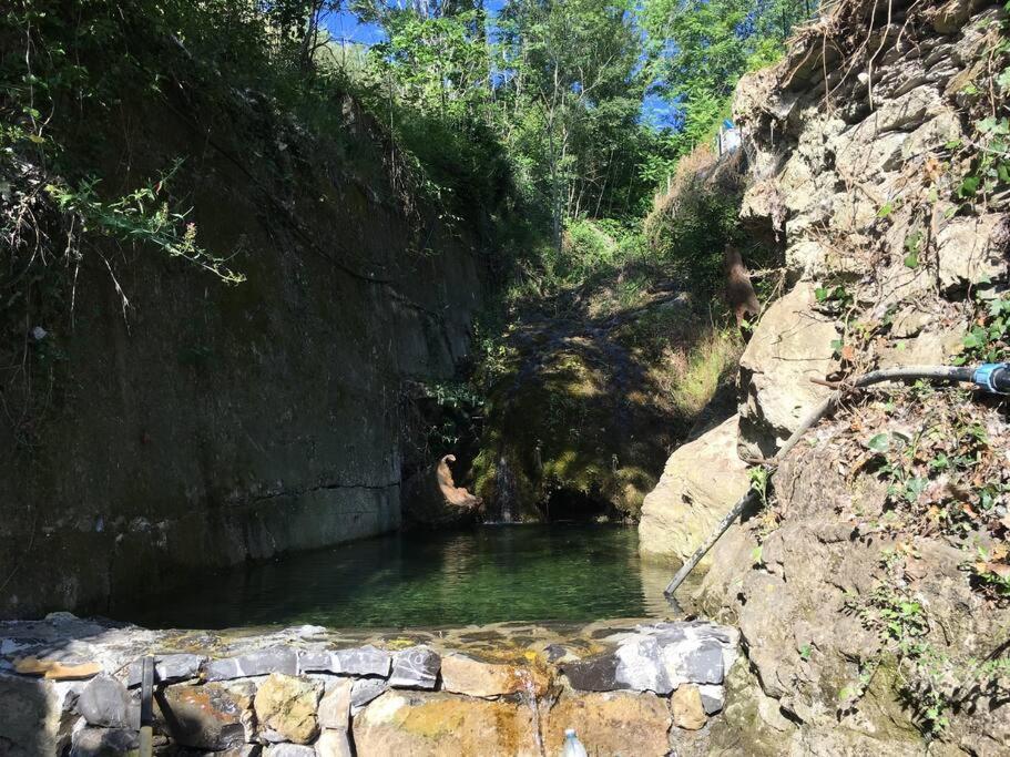 Sette - Villino Lorenzo Villa Viani エクステリア 写真