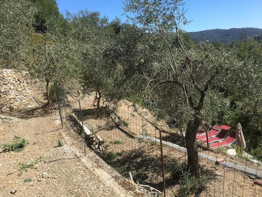 Sette - Villino Lorenzo Villa Viani エクステリア 写真